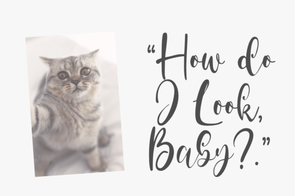 Cute Selfie Font Poster 2