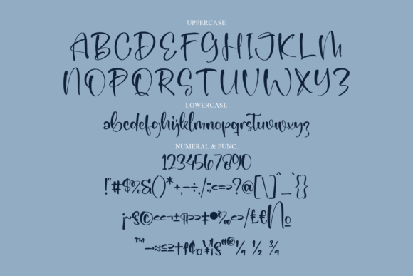 Daily Plann Font Poster 13