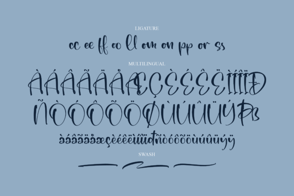 Daily Plann Font Poster 14