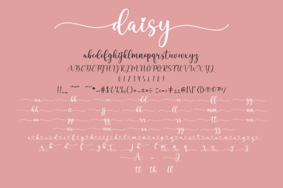 Daisy Duo Font Poster 10