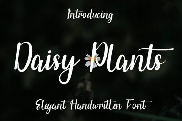 Daisy Plants Font