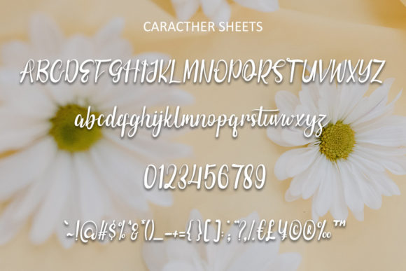 Daisy Plants Font Poster 5