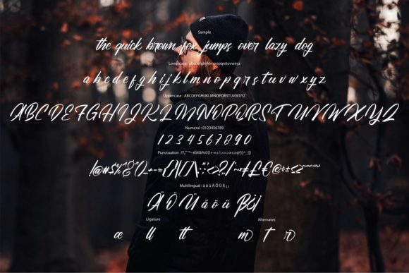 Dalattiona Font Poster 6