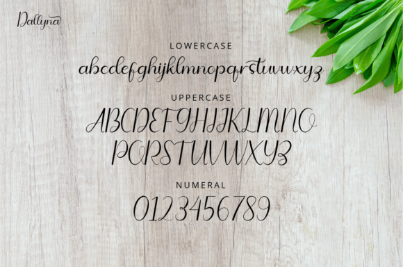 Dallyna Font Poster 4