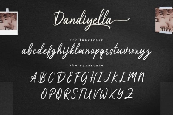 Dandiyella Font Poster 12