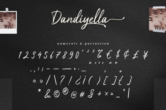 Dandiyella Font Poster 13