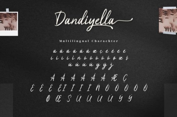 Dandiyella Font Poster 14