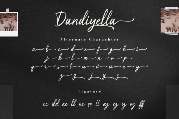 Dandiyella Font Poster 15