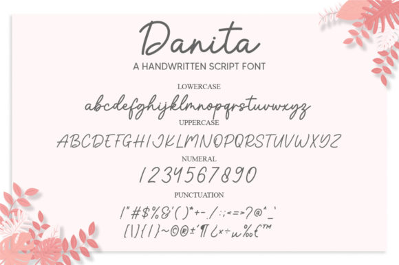 Danita Font Poster 6