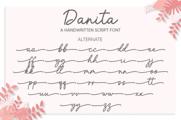 Danita Font Poster 7