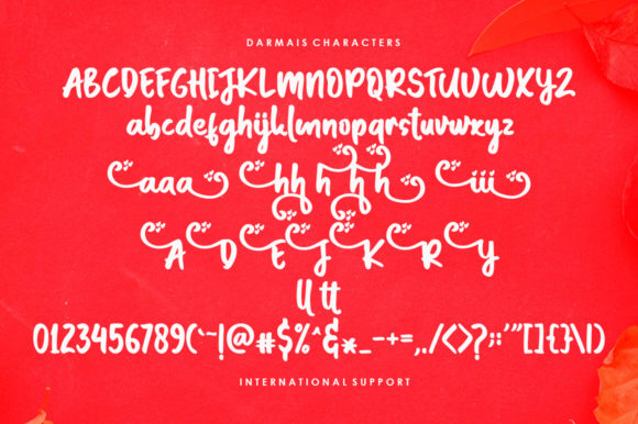 Darmais Script Font Poster 4