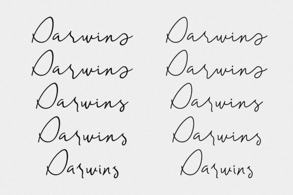 Darwins Font Poster 13