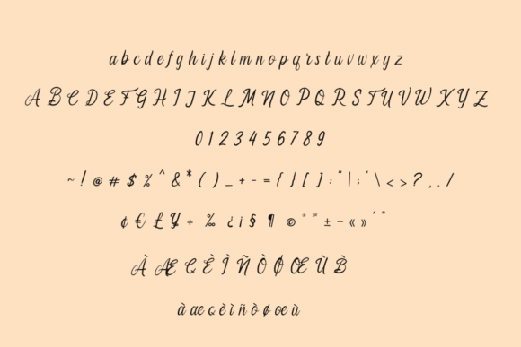 Dealova Font Poster 5