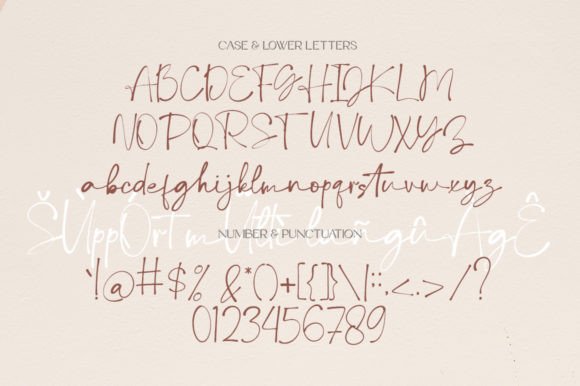 Debora Celine Font Font Poster 6