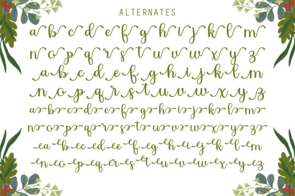 Delgona Font Poster 13