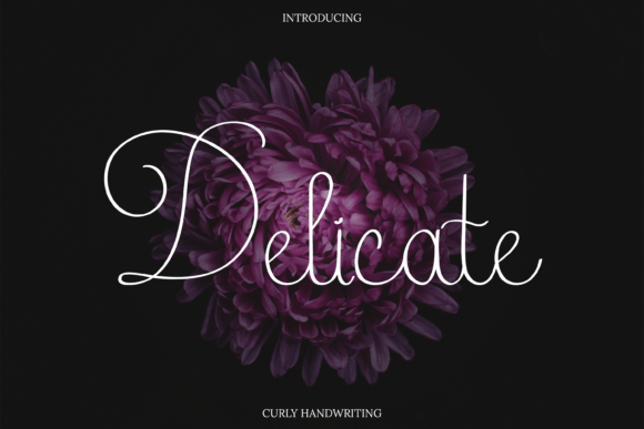 Delicate Font Poster 1