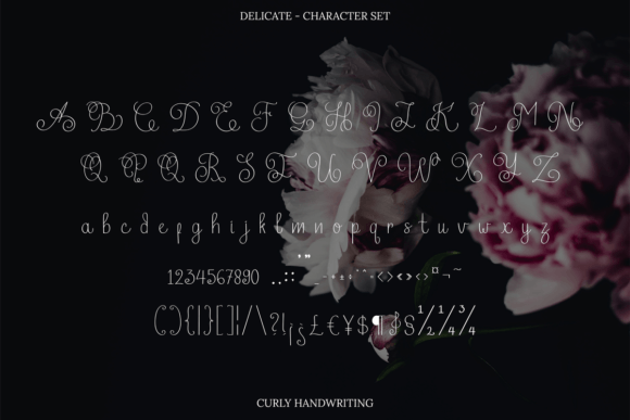 Delicate Font Poster 5