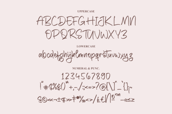 Delicato Font Poster 13