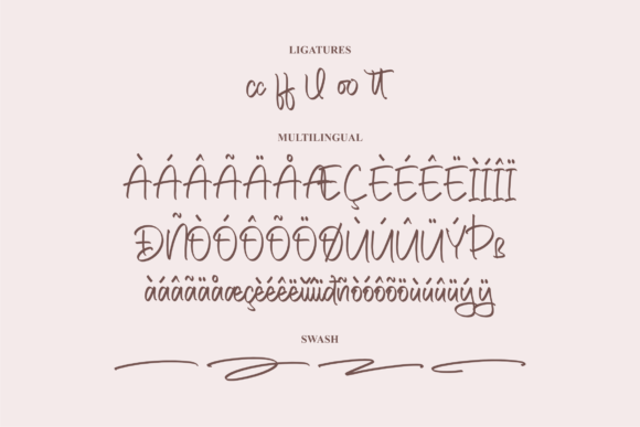 Delicato Font Poster 14