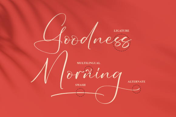 Delinhas Font Poster 12