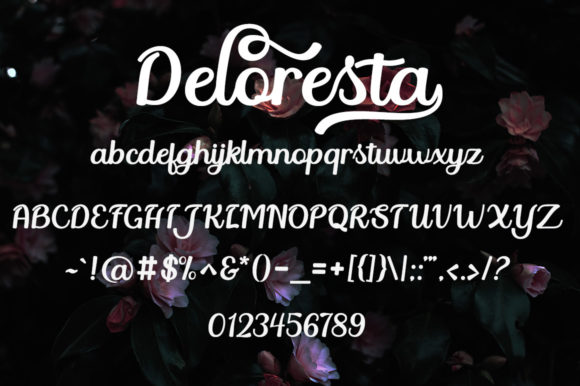 Deloresta Font Poster 7
