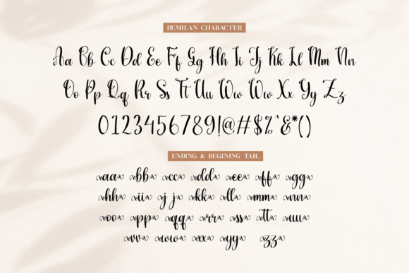 Demilan Font Poster 8