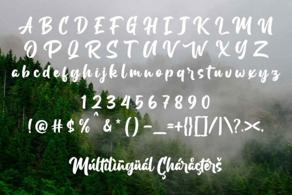 Dentalion Font Poster 13