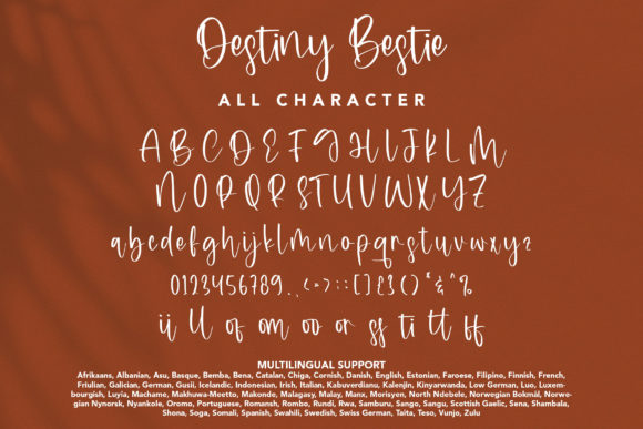 Destiny Bestie Font Poster 9