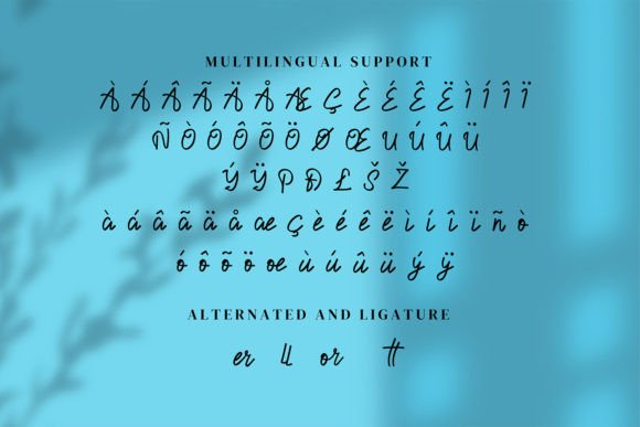 Desttinate Font Poster 5