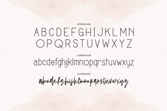 Devinland Lovecocky Font Poster 2