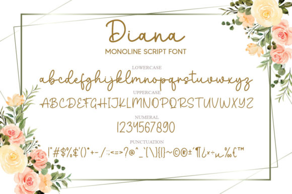 Diana Font Poster 5