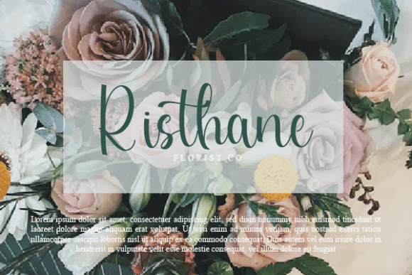 Diane Elizabet Font Poster 4