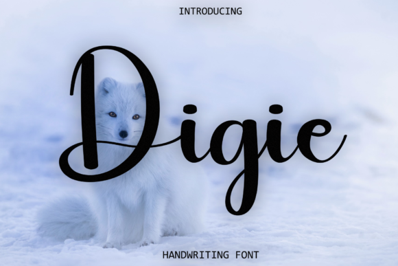 Digie Font