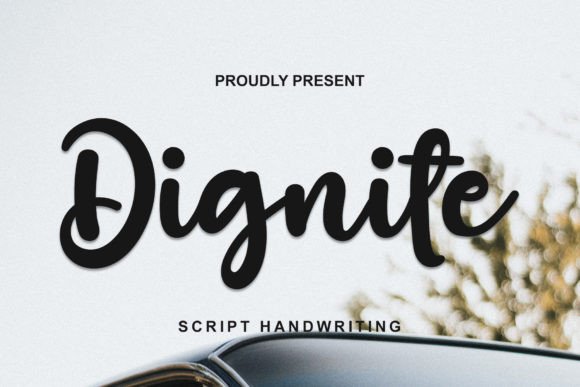 Dignite Font Poster 1