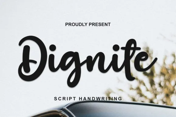 Dignite Font Dignite Font Poster 1