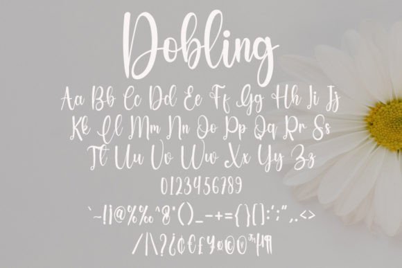 Doblings Font Poster 6