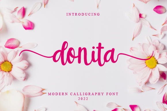Donita Font Poster 1