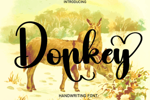 Donkey Font