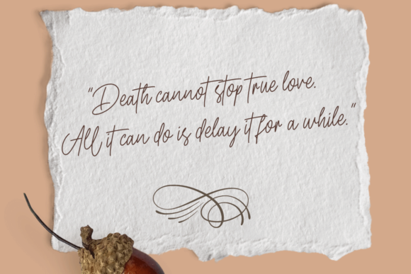 Doria Signature Font Poster 4