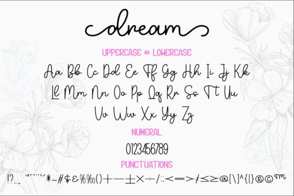 Dream Duo Font Poster 5