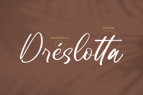 Dreslotta Font Poster 12