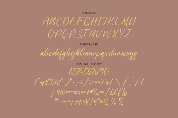 Dreslotta Font Poster 13
