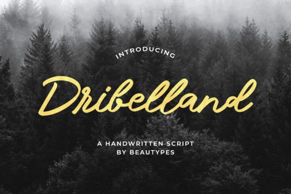 Dribelland Font Poster 1