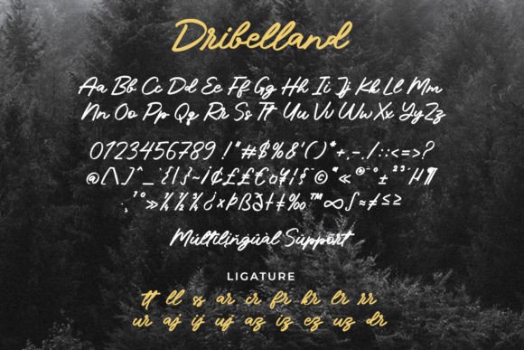 Dribelland Font Poster 5