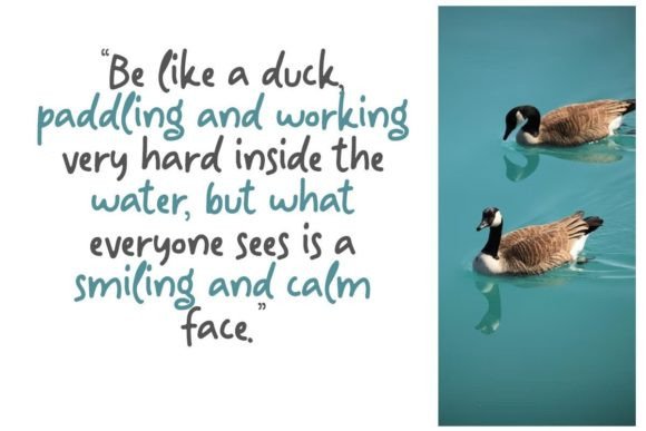 Ducking Font Poster 4