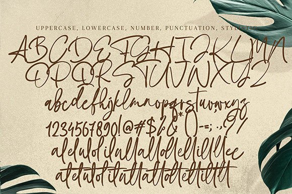 Egitta Danfy Font Poster 10