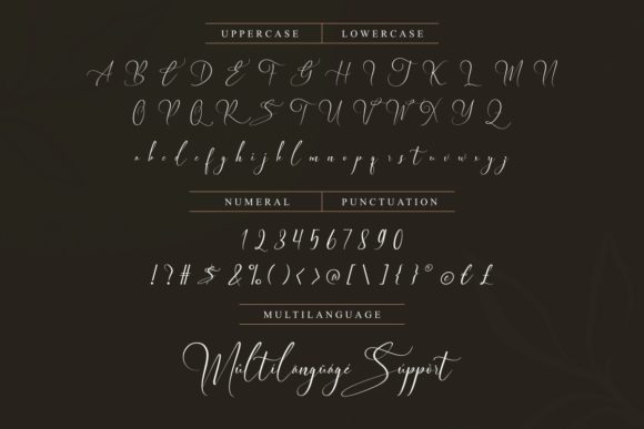 Elegant Wedding Font Poster 4