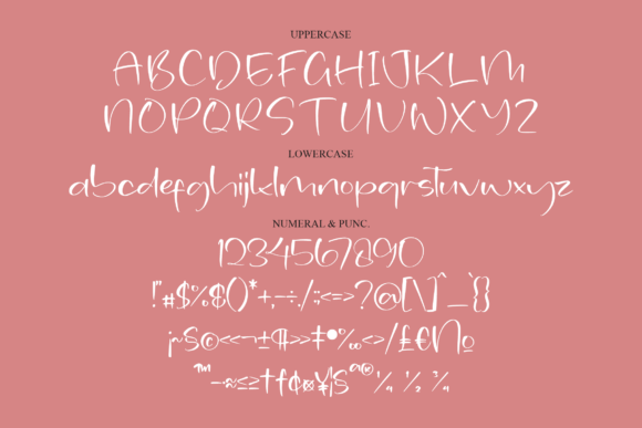 Elegante Beauty Font Poster 12