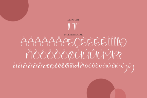 Elegante Beauty Font Poster 13