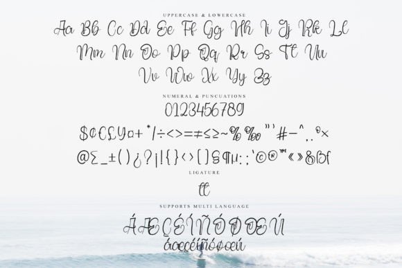 Eliged Font Poster 8